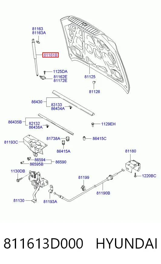 Amortecedor da capota 811613D000 Hyundai/Kia