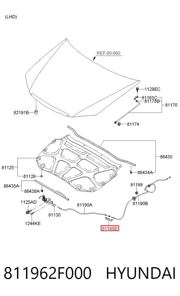  811962F000 Hyundai/Kia