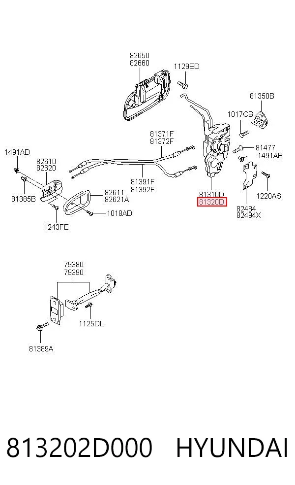 Fecho da porta dianteira direita 813202D000 Hyundai/Kia