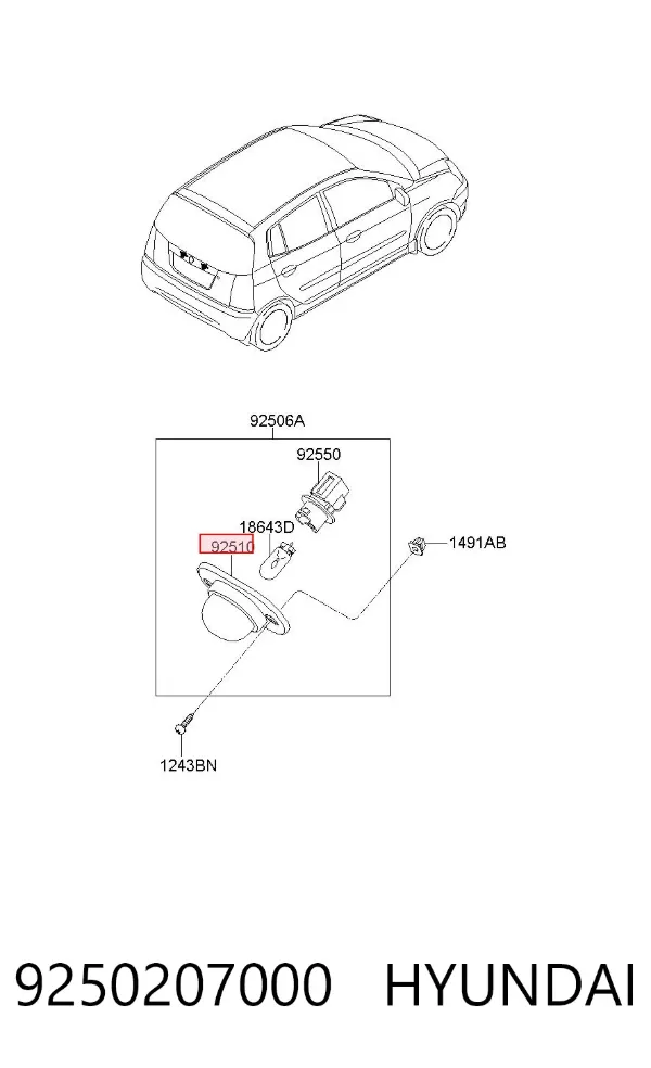 Lanterna da luz de fundo de matrícula traseira 9250207000 Hyundai/Kia