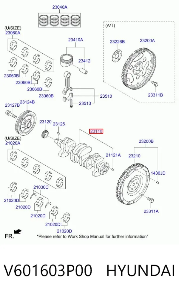 Cambota de motor V601603P00 Hyundai/Kia