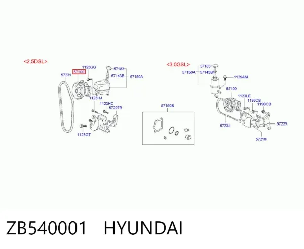 Bomba da Direção hidrâulica assistida ZB540001 Hyundai/Kia