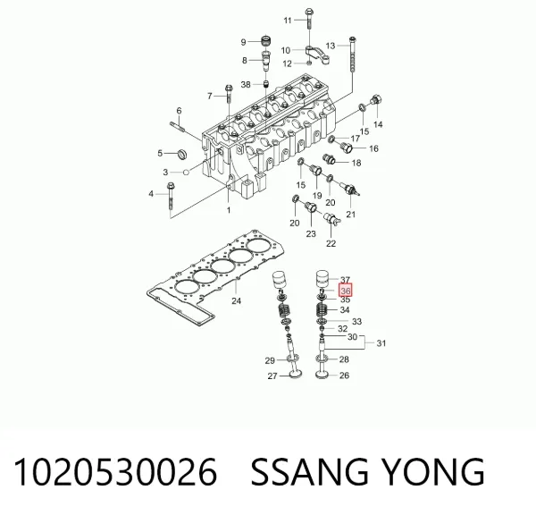 Peça inserida de válvula 1020530026 Ssang Yong