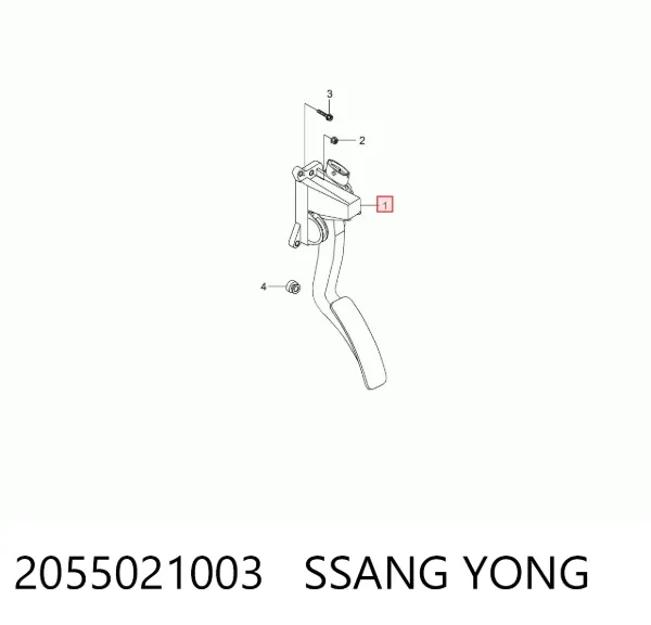 Pedal de gás (de acelerador) 2055021003 Ssang Yong