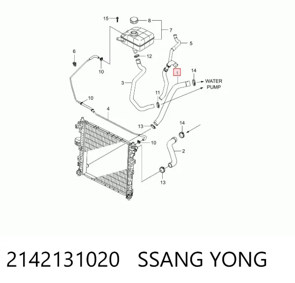Mangueira (cano derivado) inferior do radiador de esfriamento 2142131020 Ssang Yong