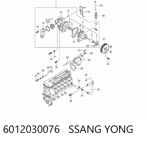 Vedante de termostato 6012030076 Ssang Yong