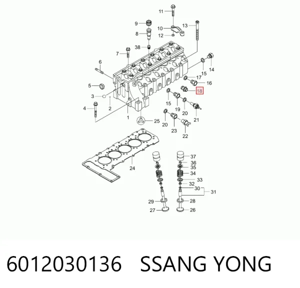  6012030136 Ssang Yong