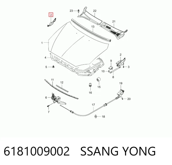 Gozno da capota esquerdo 6181009002 Ssang Yong
