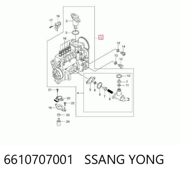 Bomba de combustível de pressão alta 6610707001 Ssang Yong