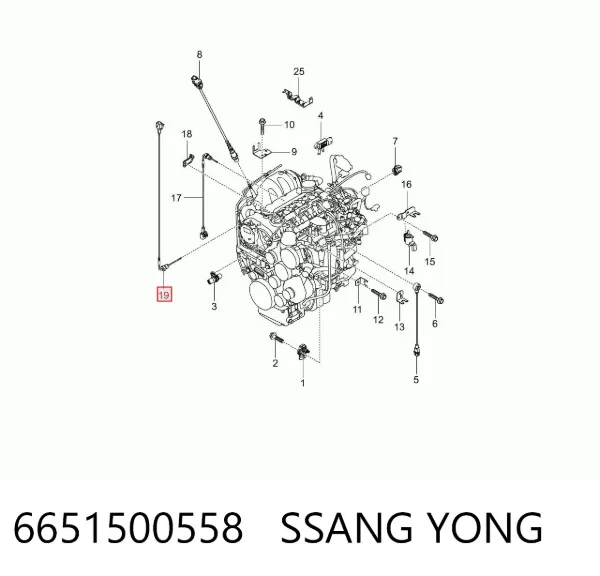 Sensor de pressão dos gases de escape 6651500558 Ssang Yong