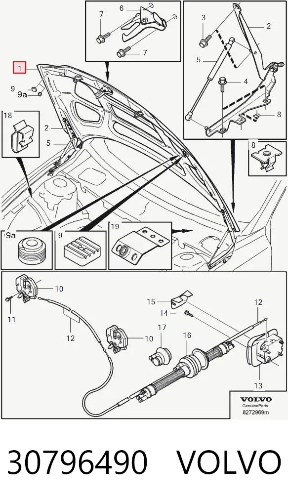 Capota 30796490 Volvo
