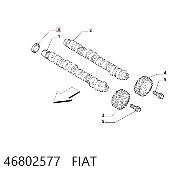Vedação da árvore distribuidora de motor 46802577 Fiat/Alfa/Lancia