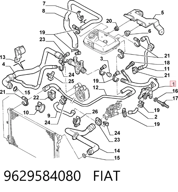 Mangueira (cano derivado) do sistema de esfriamento 9629584080 Fiat/Alfa/Lancia