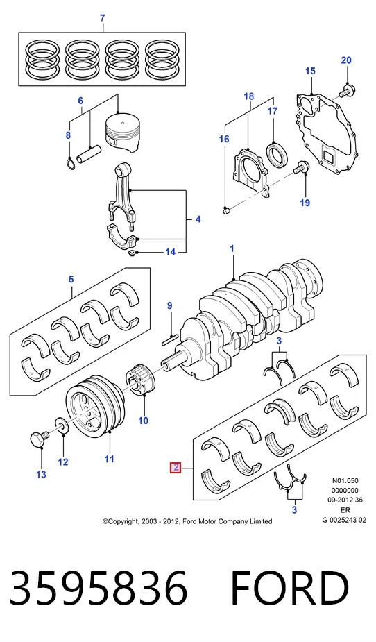 Folhas inseridas principais de cambota, kit, padrão (STD) 3595836 Ford