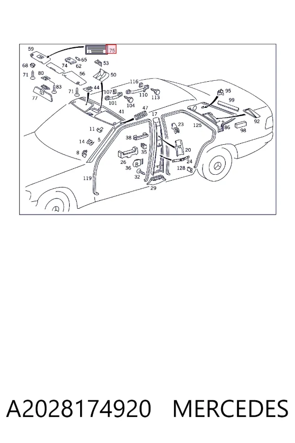 A2028174920 Mercedes