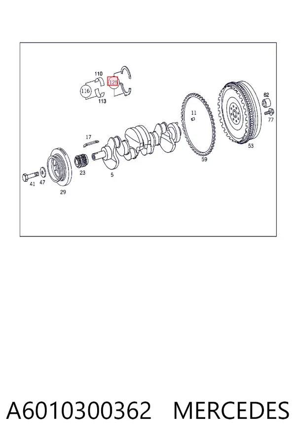 Semianel de suporte (de carreira) de cambota, STD, kit A6010300362 Mercedes