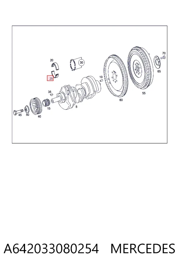 Folhas inseridas principais de cambota, kit, padrão (STD) A642033080254 Mercedes