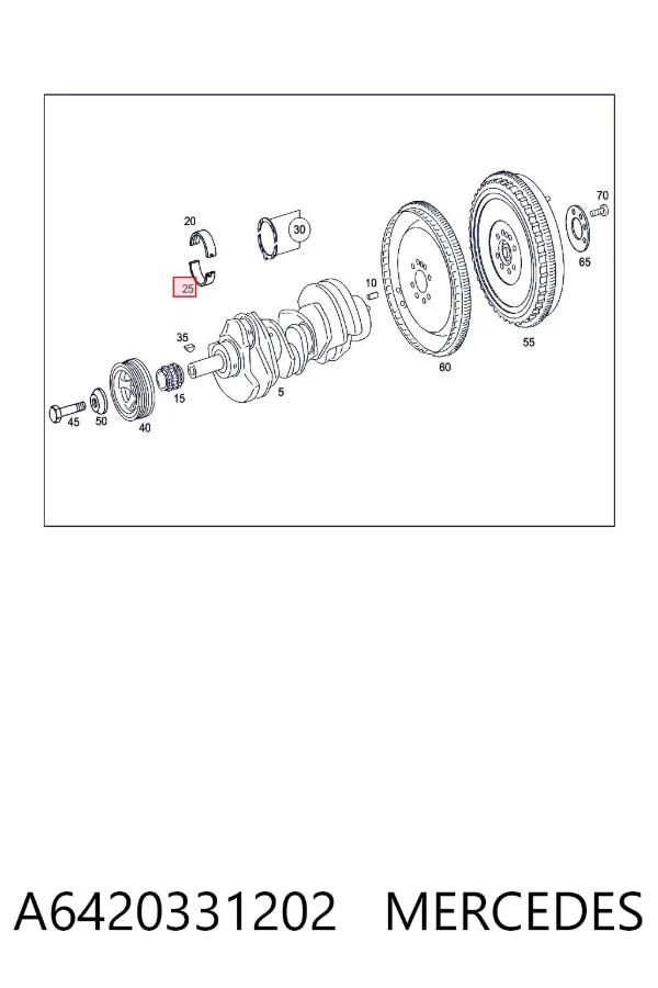 Folhas inseridas principais de cambota, kit, padrão (STD) A6420331202 Mercedes