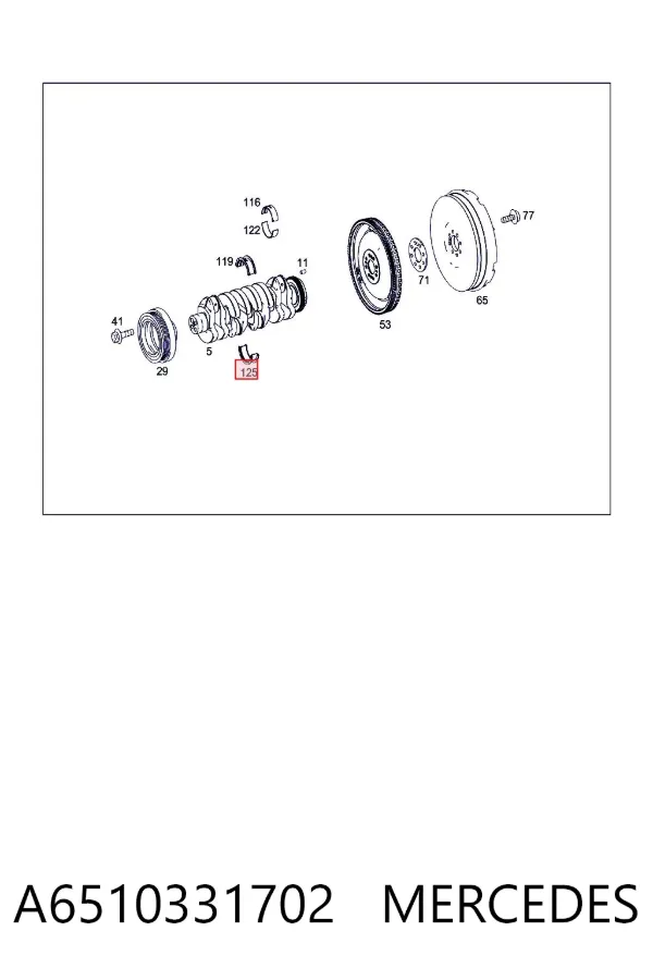 Folhas inseridas principais de cambota, kit, padrão (STD) A6510331702 Mercedes
