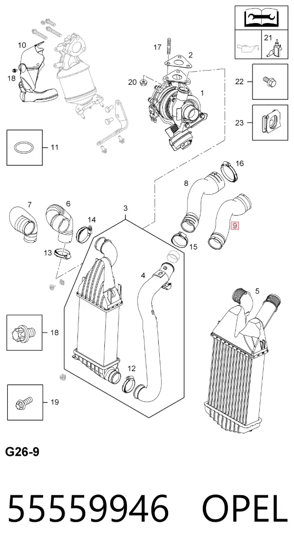 Mangueira (cano derivado) de intercooler 55559946 Opel