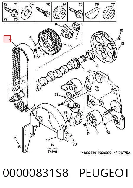 Correia do mecanismo de distribuição de gás, kit 00000831S8 Peugeot/Citroen
