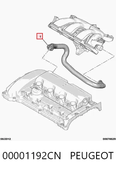 Cano derivado de ventilação de cárter (de separador de óleo) 00001192CN Peugeot/Citroen