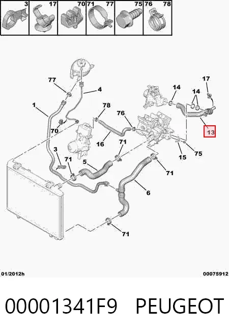 Mangueira (cano derivado) do sistema de esfriamento 00001341F9 Peugeot/Citroen