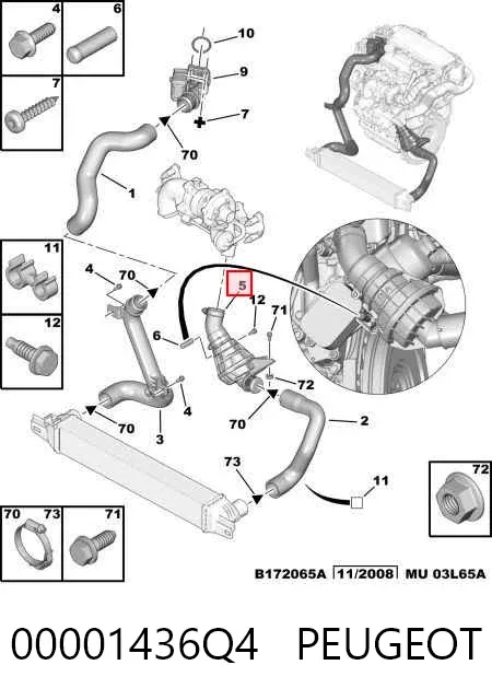 Mangueira (cano derivado) de intercooler 00001436Q4 Peugeot/Citroen