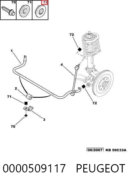Parafuso (porca) de fixação 0000509117 Peugeot/Citroen
