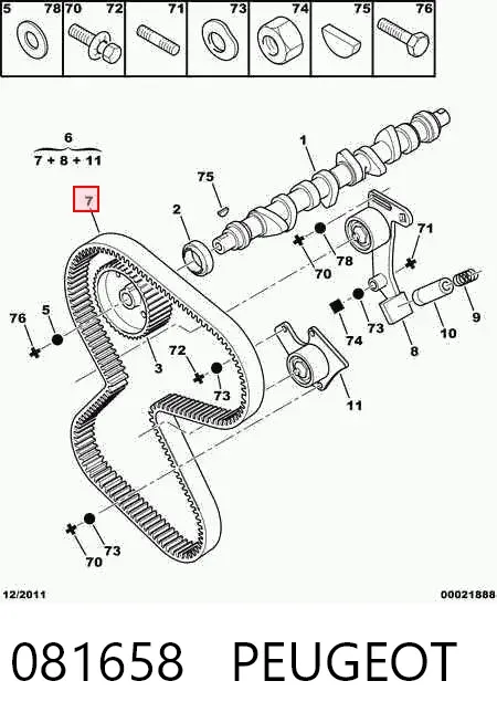 Correia do mecanismo de distribuição de gás, kit 081658 Peugeot/Citroen