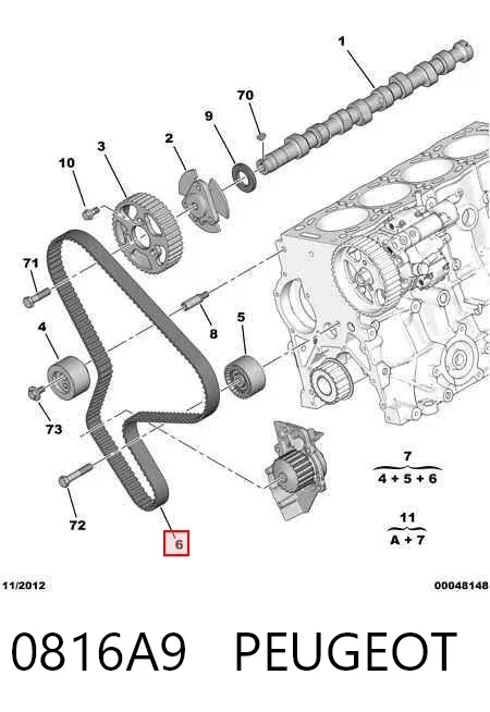 Correia do mecanismo de distribuição de gás 0816A9 Peugeot/Citroen