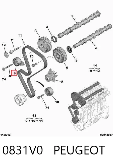 Correia do mecanismo de distribuição de gás, kit 0831V0 Peugeot/Citroen