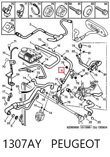 Mangueira (cano derivado) do sistema de esfriamento 1307AY Peugeot/Citroen