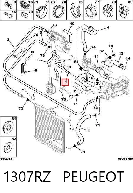 Mangueira (cano derivado) do sistema de esfriamento 1307RZ Peugeot/Citroen