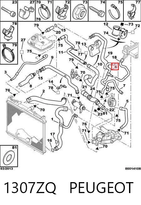 Mangueira (cano derivado) do sistema de esfriamento 1307ZQ Peugeot/Citroen