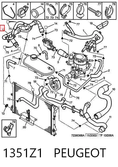 Mangueira (cano derivado) inferior do radiador de esfriamento 1351Z1 Peugeot/Citroen