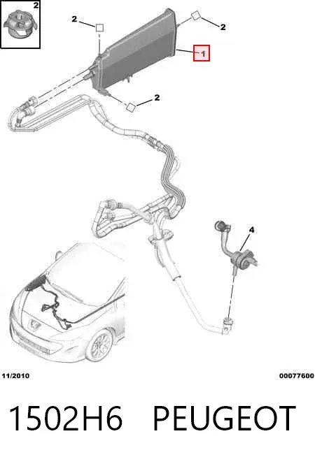 Adsorvedor dos vapores de combustível Citroen C4 GRAND PICASSO I