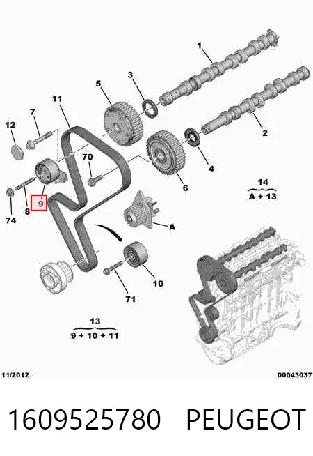 Correia do mecanismo de distribuição de gás, kit 1609525780 Peugeot/Citroen