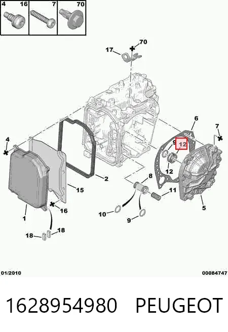 Sapatas do freio traseiras de disco 1628954980 Peugeot/Citroen