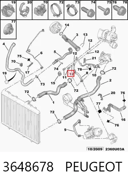Vedante (anel) de mangueira de esfriamento de turbina, de fornecimento 3648678 Peugeot/Citroen