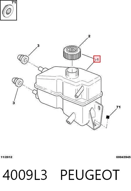 Tanque de bomba da Direção hidrâulica assistida Peugeot 406 8B