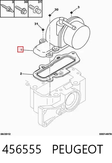 Bomba a vácuo 456555 Peugeot/Citroen