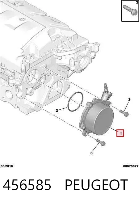 Bomba a vácuo 456585 Peugeot/Citroen