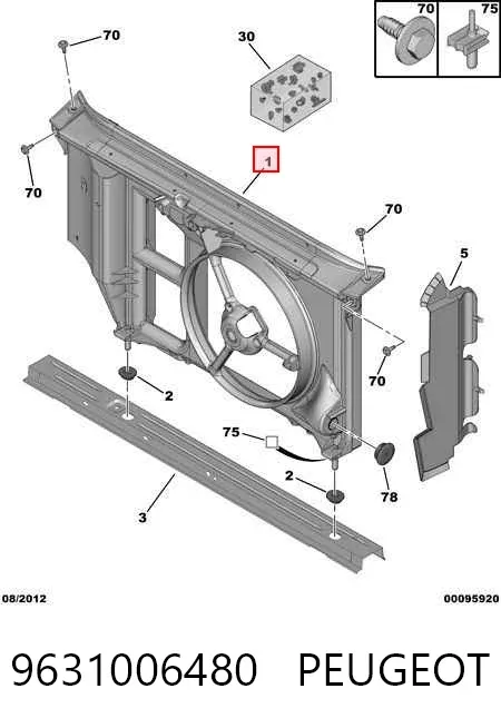 Suporte do radiador montado (painel de montagem de fixação das luzes) 9631006480 Peugeot/Citroen
