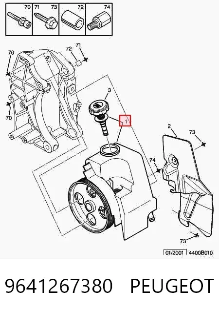 Bomba da Direção hidrâulica assistida 9641267380 Peugeot/Citroen