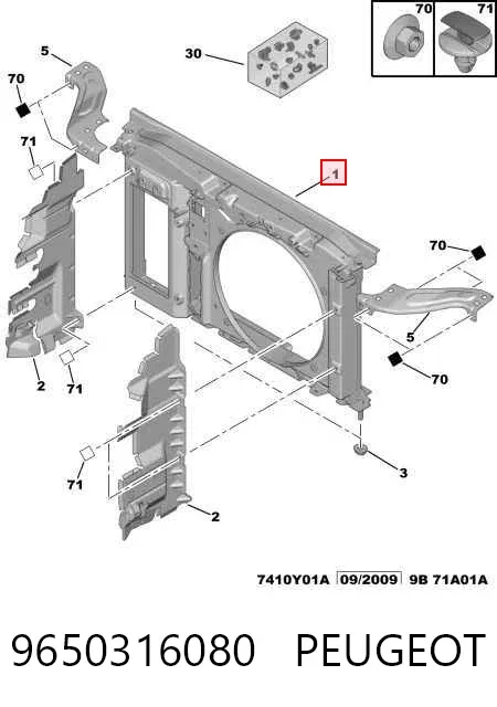 Difusor do radiador de esfriamento 9650316080 Peugeot/Citroen