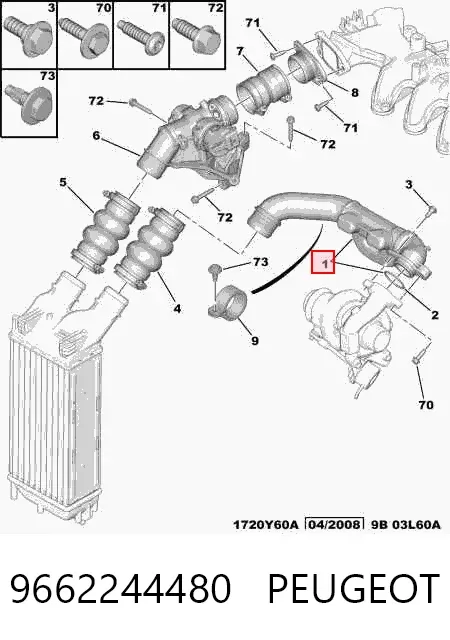 Cano derivado de ar, saída de turbina (supercompressão) 9662244480 Peugeot/Citroen