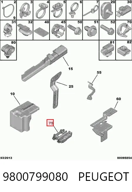  9800799080 Peugeot/Citroen