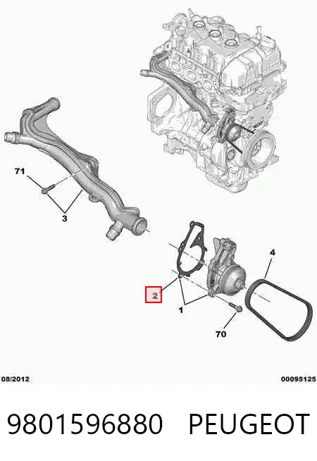 Vedante de bomba de água 9801596880 Peugeot/Citroen