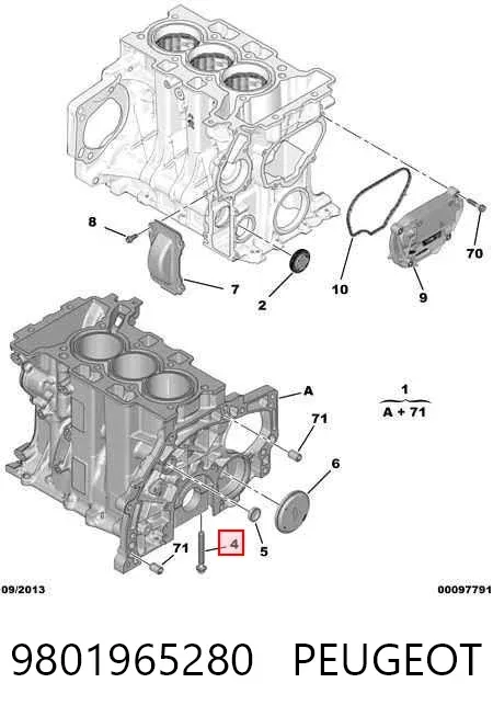  9801965280 Peugeot/Citroen